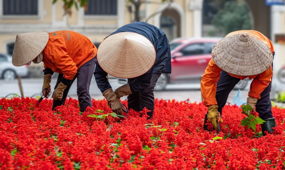 Viaggio di gruppo capodanno in Vietnam tutto incluso