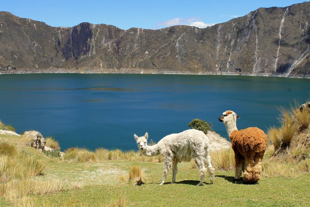 Viaggio organizzato in Ecuador attraverso la Via dei Vulcani