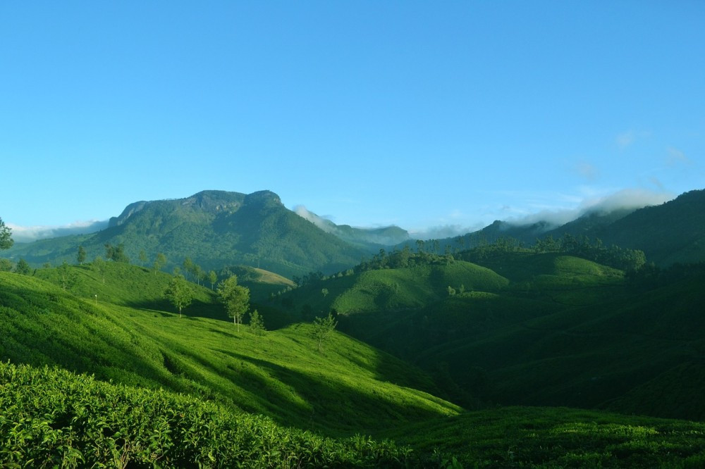Munnar India
