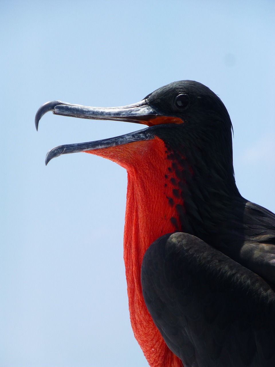 tour galapagos